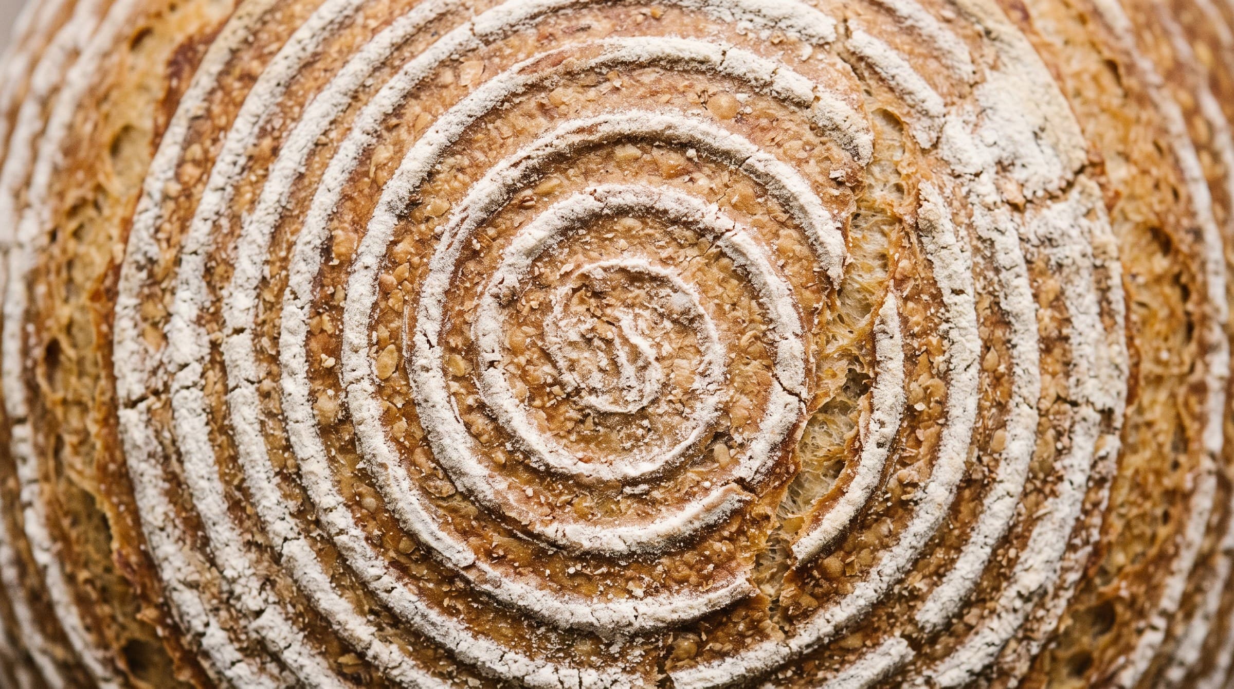 Les cercles de farine laissés par le banneton sur une miche