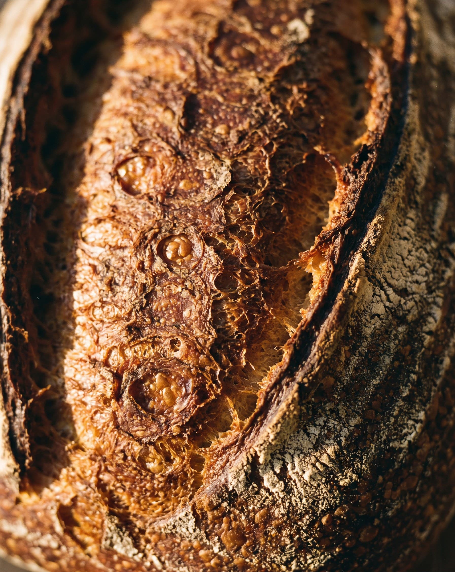 Croûte de pain dorée en très gros plan